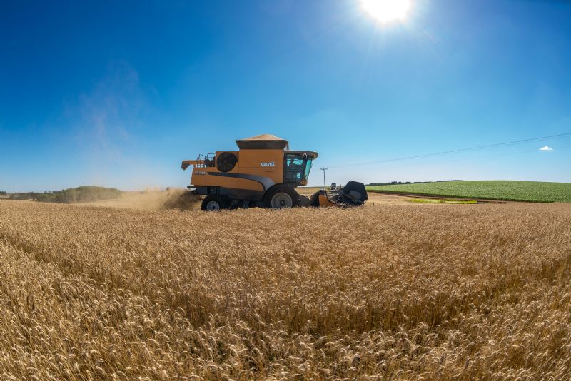 Trigo e soja: resultados são positivos dentro do sistema de produção