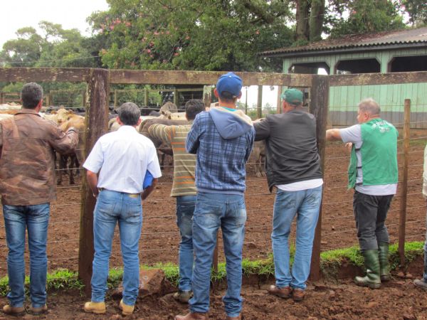 Curso de Bovino de Corte encerra com aula pr&aacute;tica
