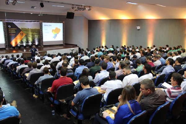 Cultivares permitem produzir mais trigo em menos tempo