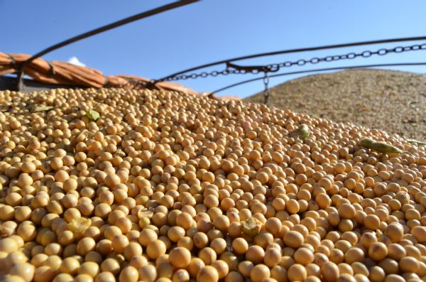  CÂMBIO DETERMINA RITMO DE NEGOCIAÇÕES