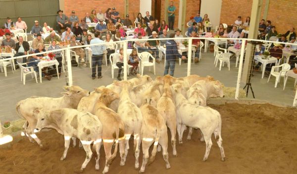  Em Guarapuava, feira repete tradicional sucesso