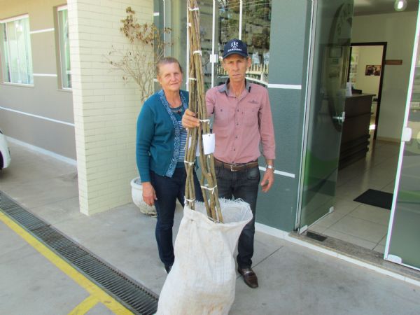 Produtores recebem mudas sorteadas no Dia do Agricultor