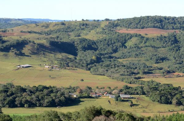Comunicado FAEP: C&oacute;digo Florestal aprovado