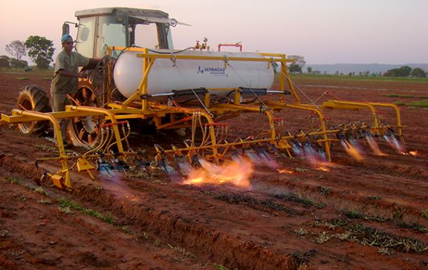 Embrapa lança primeiro livro sobre controle não químico de plantas daninhas