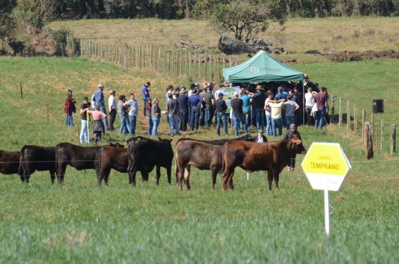 3º Dia de Campo Produção Integrada 