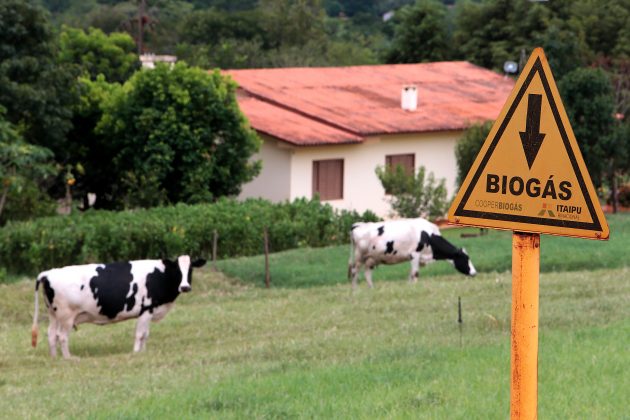 Biog&aacute;s no campo e na ind&uacute;stria
